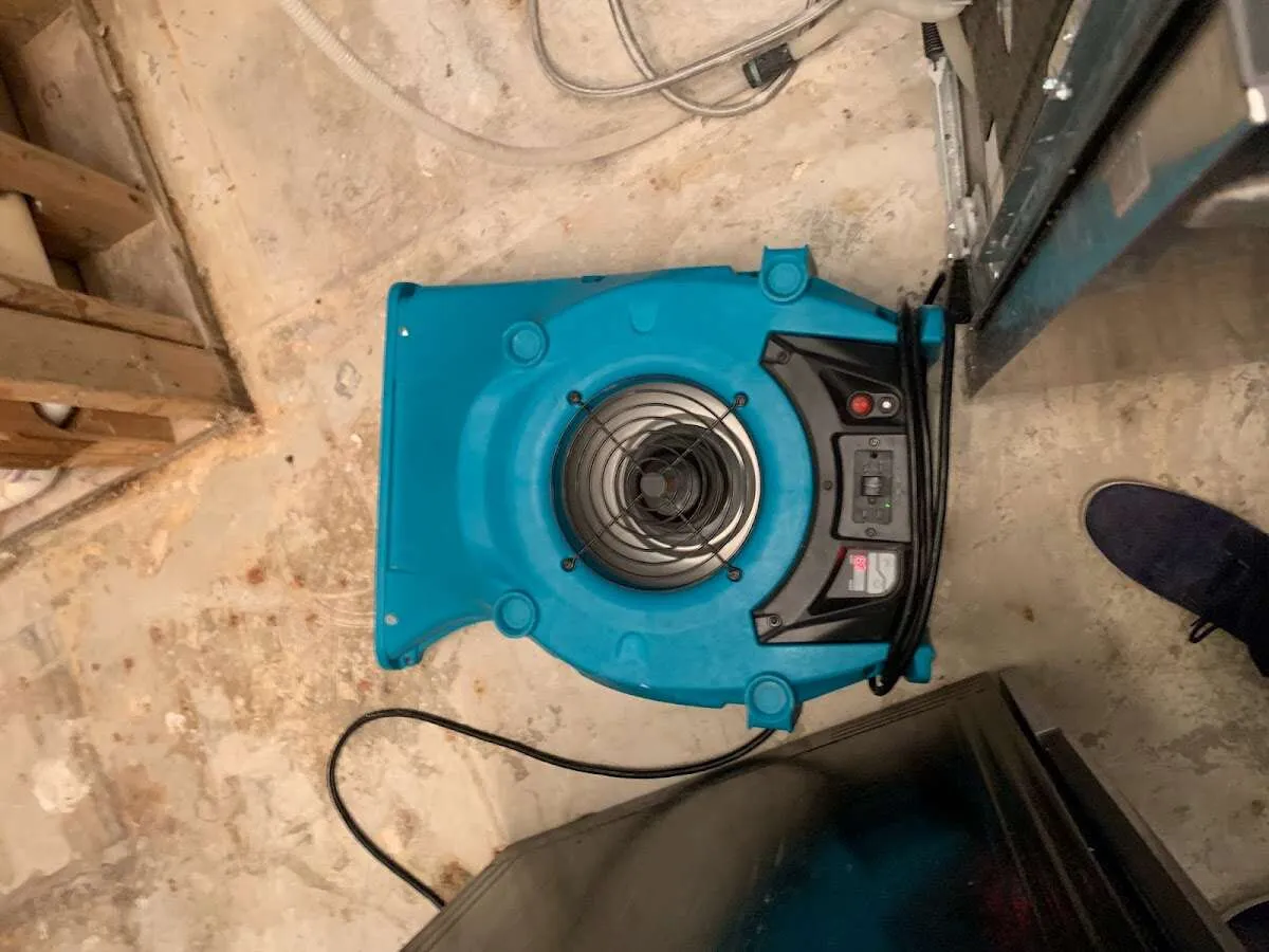 Air mover drying equipment for Mold Remediation & Removal in Pasadena Hills